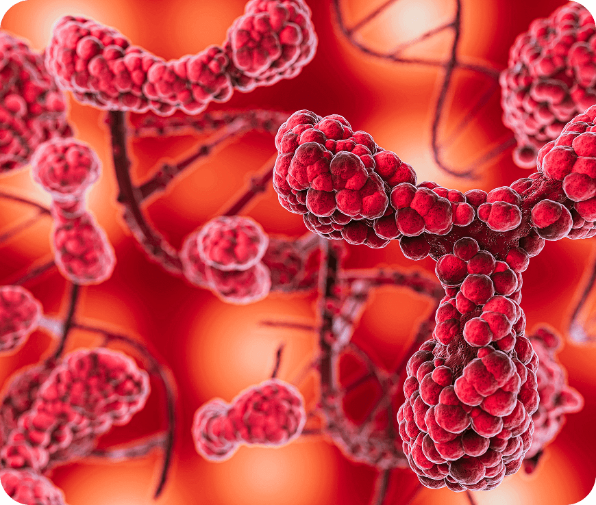 Oesophagus Cancer Stages Explained