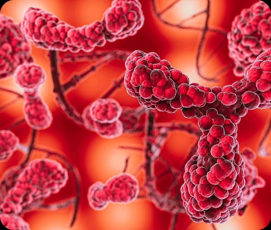 Gallbladder Cancer Stages Explained